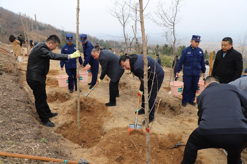 臨沭縣組織開展義務(wù)植樹活動1