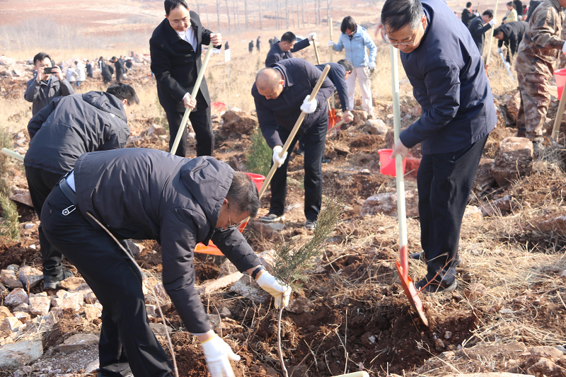 ?不負春光，共添新綠－平邑縣開展2024年度義務植樹活動2