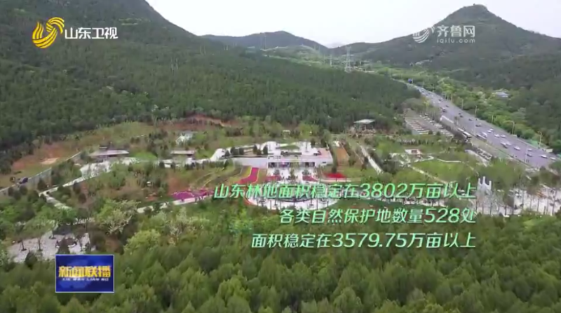 山东卫视《山东新闻联播》：第三届山东省森林文化周在济南启动  20240420