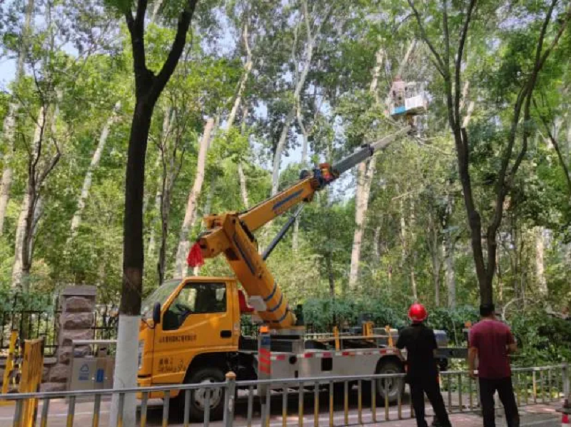 山東濟(jì)南市園林和林業(yè)綠化局組織開展公園景區(qū)品質(zhì)提升專項行動1