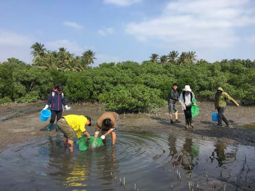 2017年12月， 海南项目在文昌组织了底栖生物调查活动