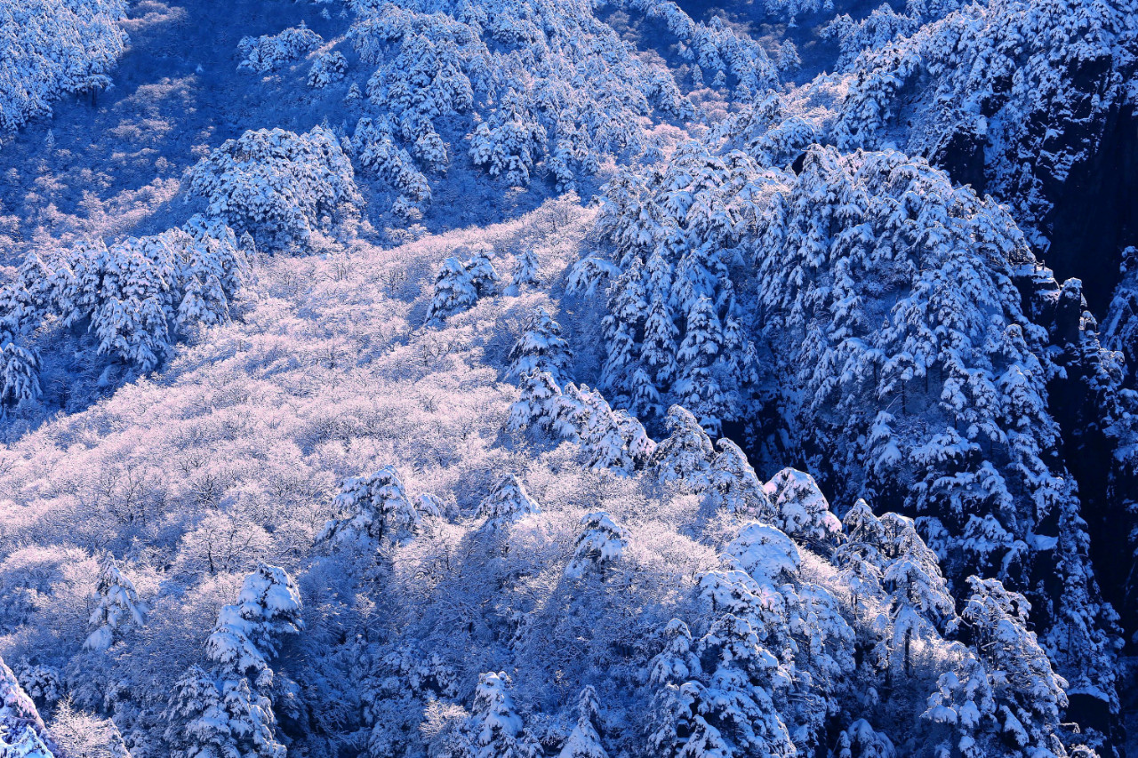 齐欣 +《冰雪黄山》（组照10幅）04 +手机13965226321