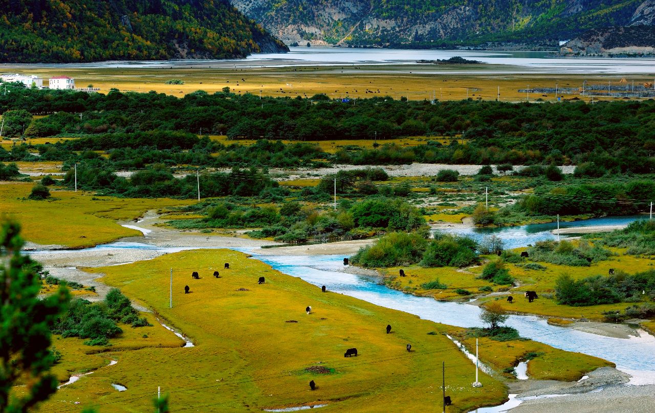 西藏然乌湖国家森林公园美景03——黄勇士-13807789125-广西凤山县