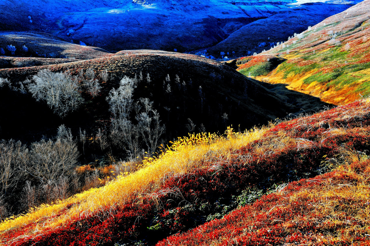 新罕布什尔州白山中的秋影照片摄影图片_ID:309544335-Veer图库