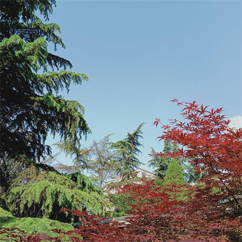 IMG20220502083103