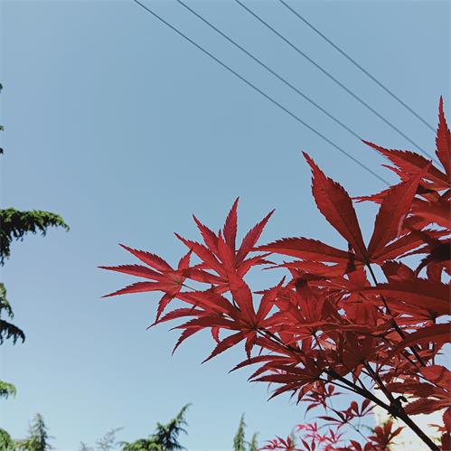 IMG20220502083202