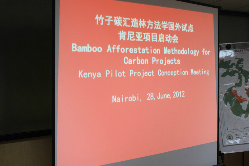 2012年6月28日，竹子碳汇造林方法学国外试点肯尼亚项目启动会在肯尼亚总理办公室召开