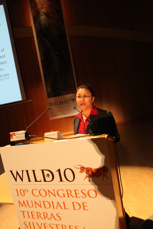 2013年10月4日至11日，世界荒野保护委员会（WWC）第十届代表大会在西班牙萨拉曼卡召开。中国绿色碳汇基金会秘书长李怒云作为3名中国代表之一出席大会。会上，秘书长作了题为“中国绿色碳汇基金会的探索与实践”的主题报告。