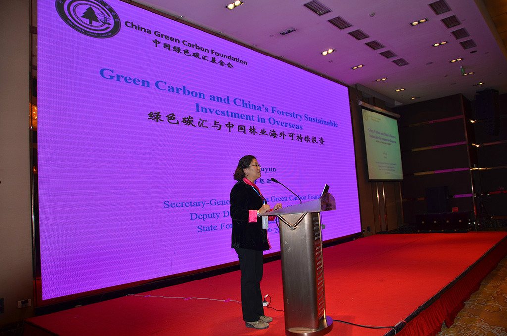 APEC区域可持续投资最佳实践研讨会上，李怒云秘书长作了题为“绿色碳汇与中国林业海外可持续投资”的主题报告