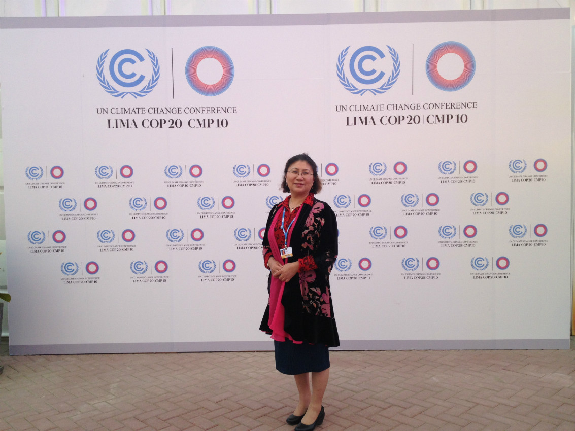 中国绿色碳汇基金会秘书长李怒云在利马气候大会背景墙前留影