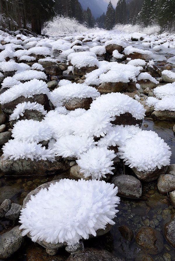 雪和冰的画