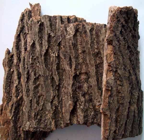 日月峡中草药:山核桃树皮
