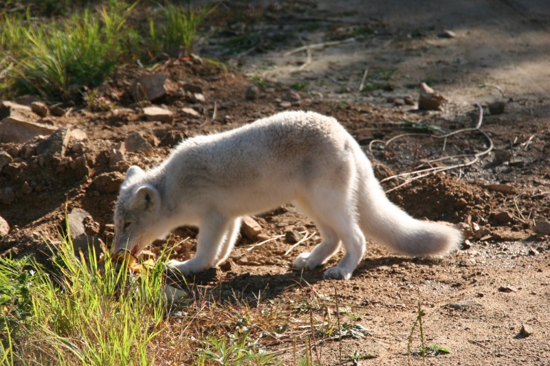 20060926m_07