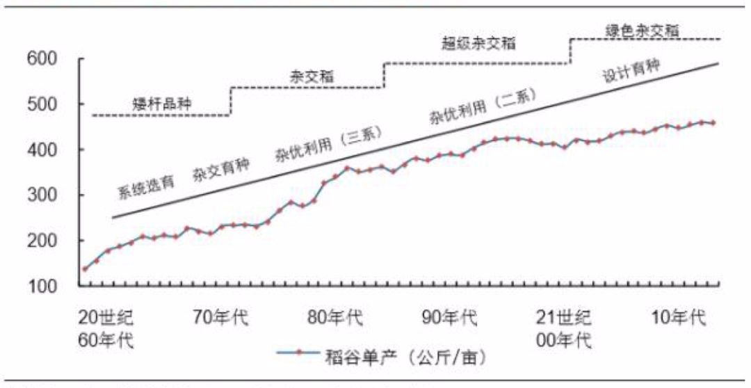 中国水稻育种技术,同样经过多个阶段的技术进步,并非只有「杂交水稻」