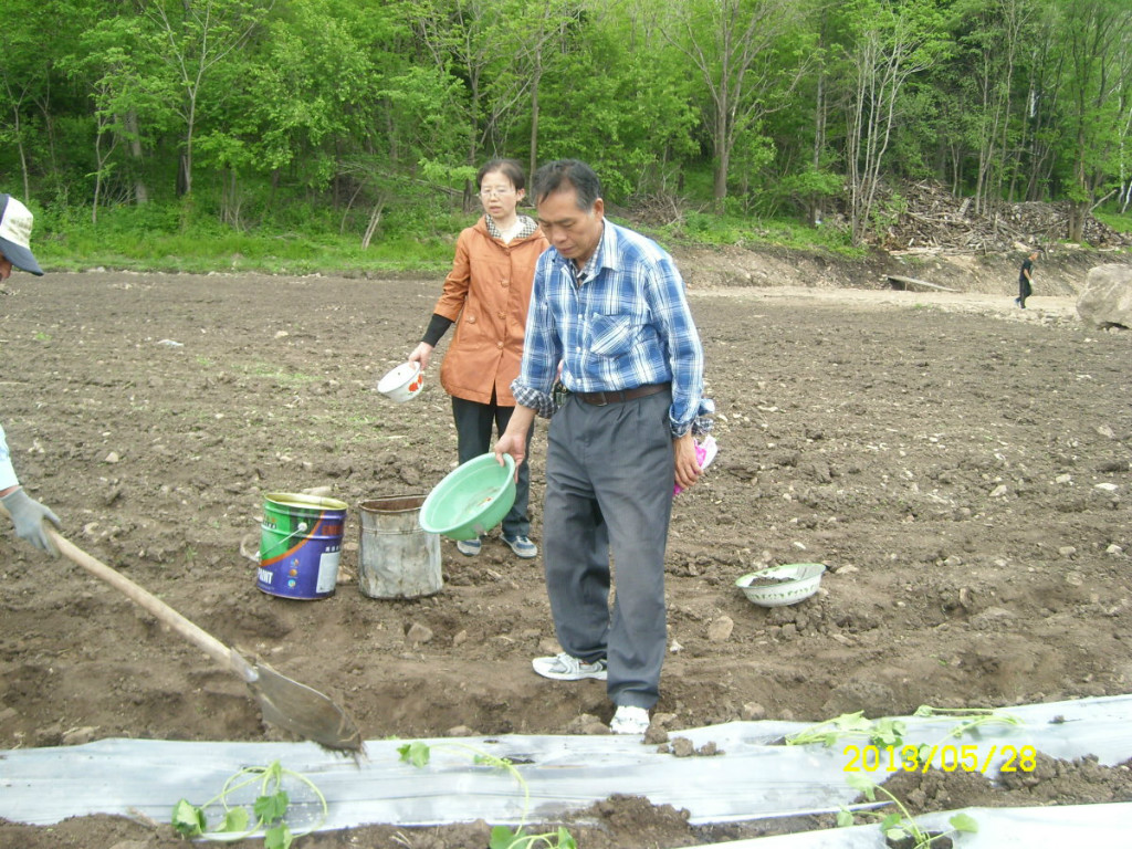http://pic1.arkoo.com/xhat/picture/p194su8ntc7c31isq1rgd10j9t84b.jpg