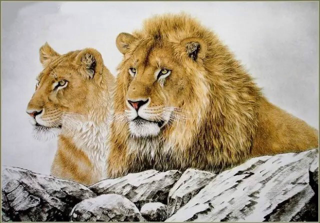 工笔画运用各种的画技法,每一种画技法都有属于自己的特点与文化内涵.