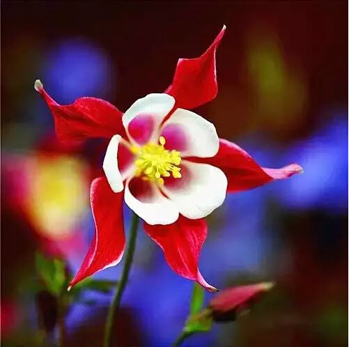 http://pic1.arkoo.com/xhat/picture/p19s5b4usn1bv7be71kjq7ll14q1b.jpg