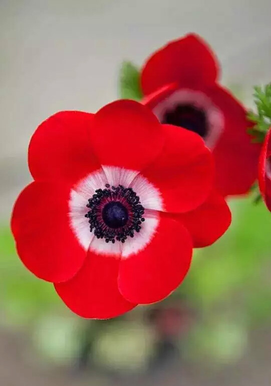 http://pic1.arkoo.com/xhat/picture/p19s5b4usn1jl61ndbguh1t4c1oec24.jpg