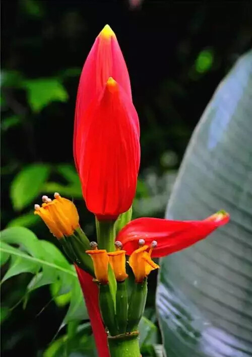 http://pic1.arkoo.com/xhat/picture/p19s5b4usn1rh9jof1m5l14ua1qul1c.jpg