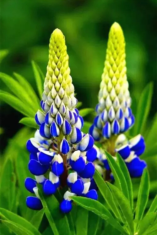 http://pic1.arkoo.com/xhat/picture/p19s5b4usn1sid1u1bgqg1dk31dhg16.jpg
