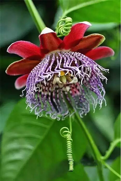 http://pic1.arkoo.com/xhat/picture/p19s5b4usn1v99rkk1vmome31cv01g.jpg