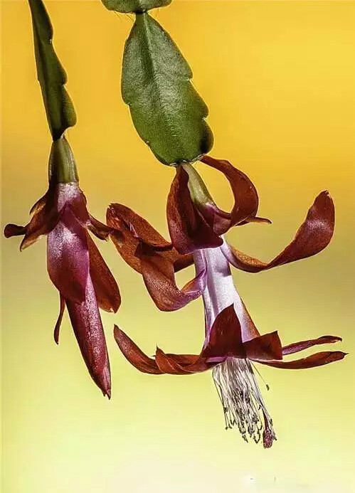 http://pic1.arkoo.com/xhat/picture/p19s5b4usndqh1qh61m9j1apu1q8i1d.jpg