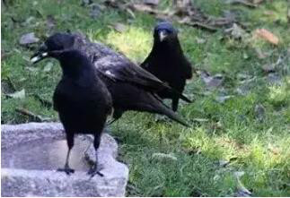 http://pic1.arkoo.com/xhat/picture/p1a8f8pgn9cm116uq1q0fge02o11.jpg