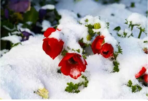 http://pic1.arkoo.com/xhat/picture/p1a9m5d2q715q4177l1nqghfsdto2c.jpg