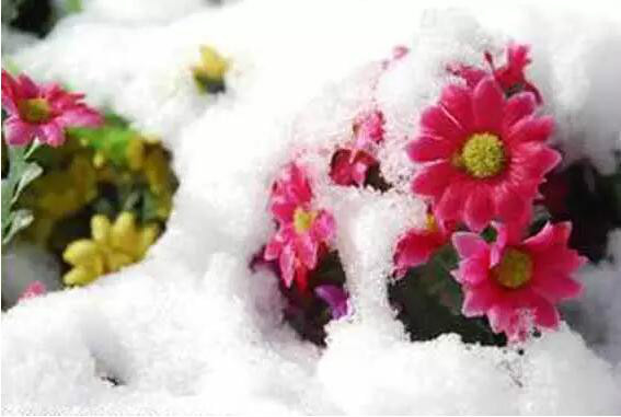 http://pic1.arkoo.com/xhat/picture/p1a9m5d2q71bp814nor9d19hiufi2f.jpg