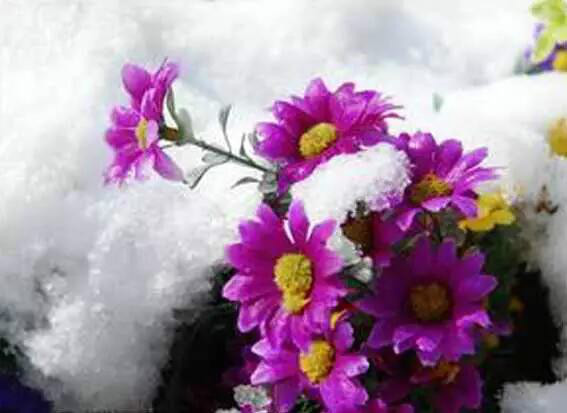 http://pic1.arkoo.com/xhat/picture/p1a9m5d2q7l2hs1214ed6atv0j2d.jpg