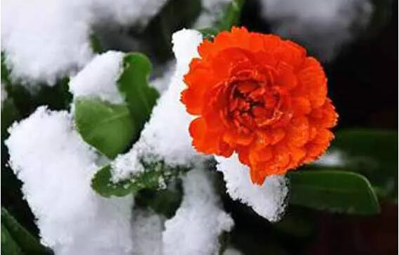 http://pic1.arkoo.com/xhat/picture/p1a9m5d2q7nlo3ch152tcdh1q6u2a.jpg