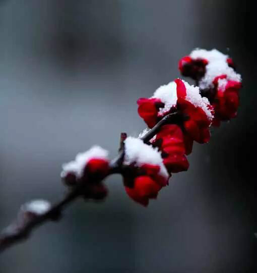 http://pic1.arkoo.com/xhat/picture/p1a9m5d2q7ob3bvf3bt1n61nk92m.jpg