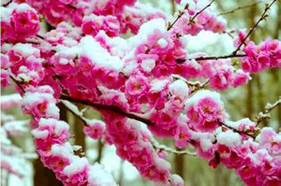 http://pic1.arkoo.com/xhat/picture/p1a9m5d2q8105k1t3vcj8mvki5l39.jpg
