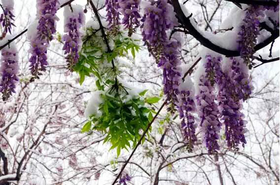 http://pic1.arkoo.com/xhat/picture/p1a9m5d2q8169u1s8m30aal050g32.jpg