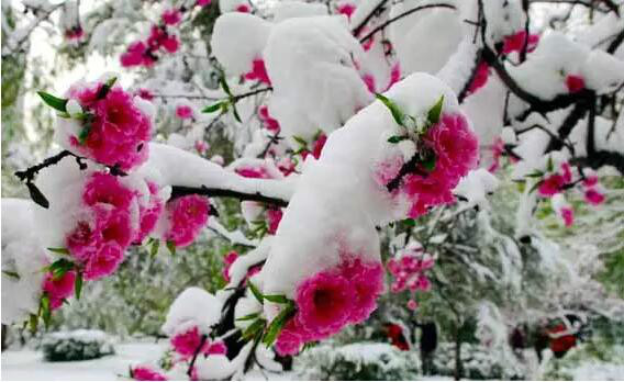 http://pic1.arkoo.com/xhat/picture/p1a9m5d2q82kq1btg1pnnfn41ovg33.jpg