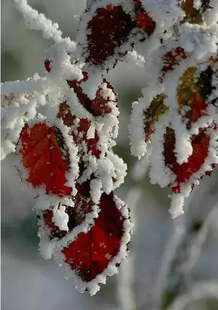 http://pic1.arkoo.com/xhat/picture/p1a9m5d2q8n9h1bi6ph4ceo15n92n.jpg