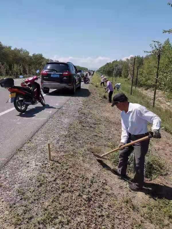 新疆生产建设兵团第七师127团2021年人工防护林阶段考核检查