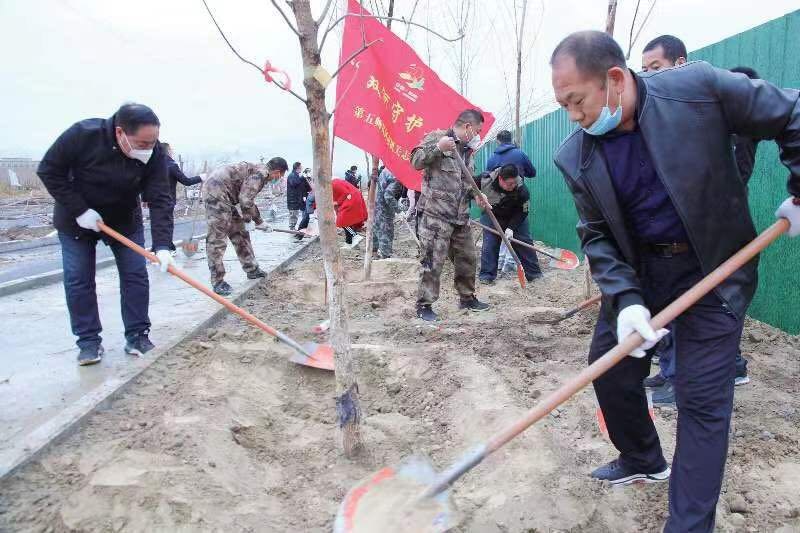 新疆兵團第五師雙河市秋冬季植樹現場1