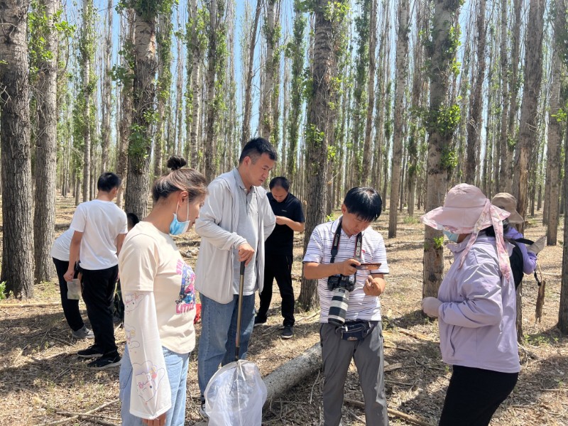 林業(yè)有害生物現場識別培訓