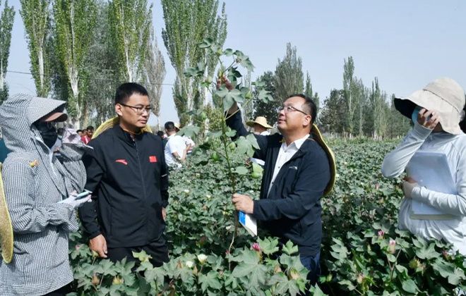 专家送技术到田间。何斌 摄