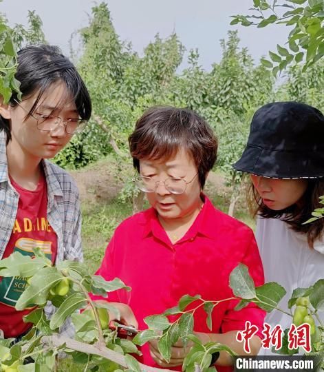 吳翠云是果農(nóng)眼里的“紅棗公主”，學(xué)生心里的“吳媽媽”。(資料圖)受訪者供圖