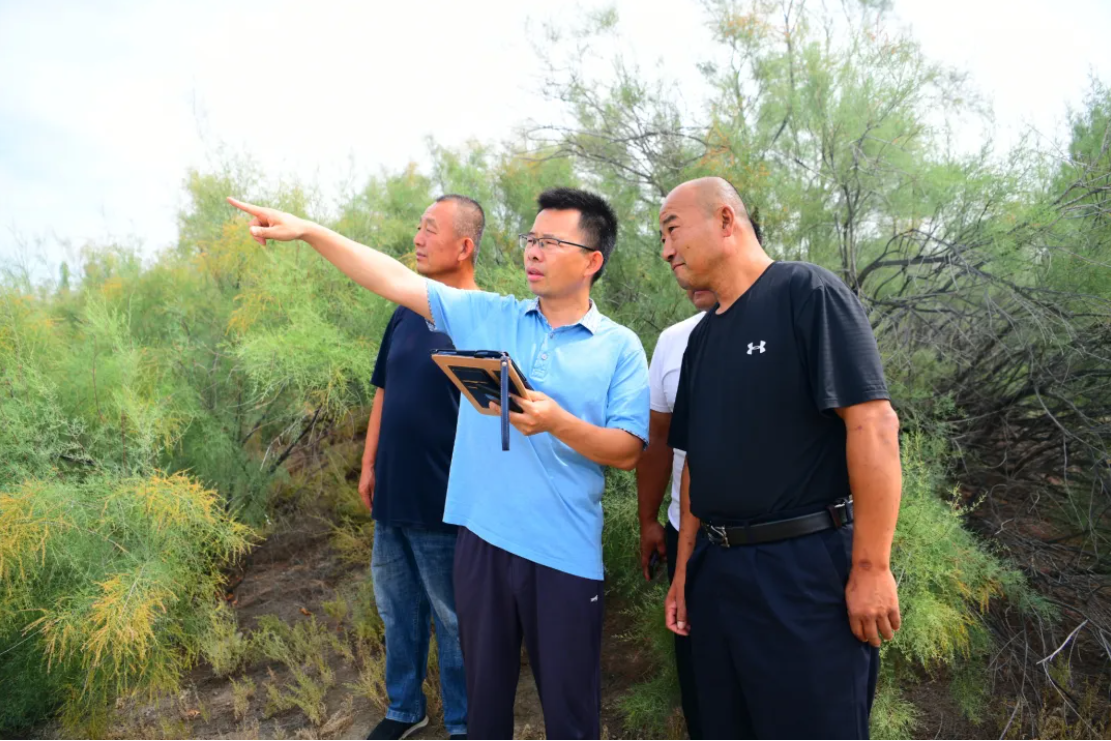 7月20日，新湖农场农业和林业草原中心工作人员陈润（中）正在和护林员一起查看荒漠植被。