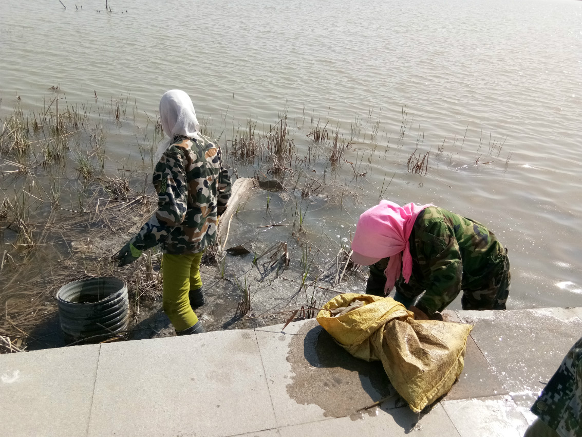 鄱阳湖干旱近80天，水域面积缩小9成，候鸟栖息地受到严重威胁