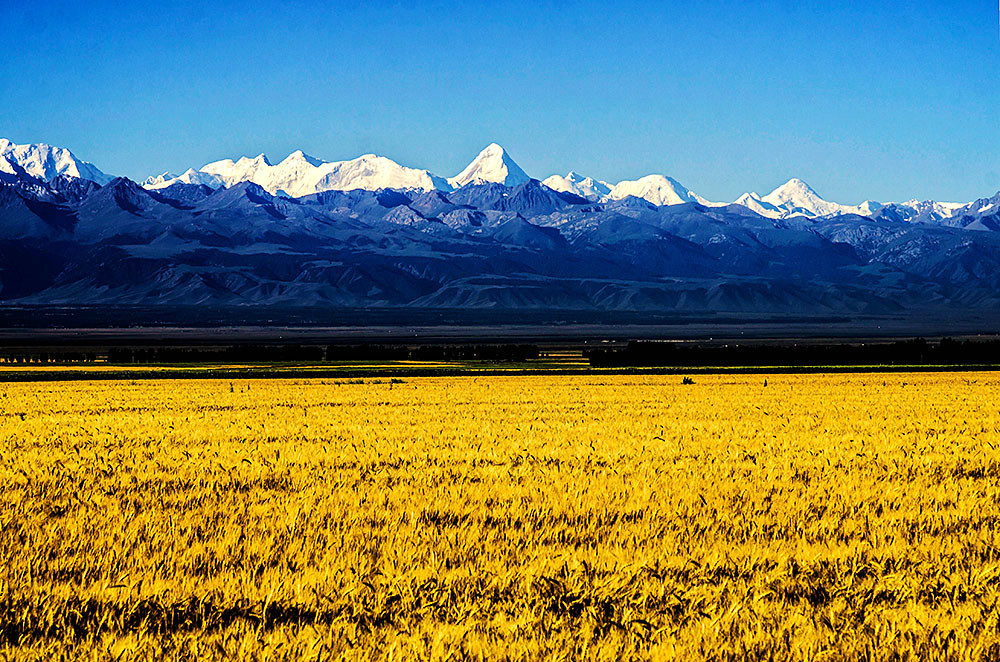 我眼中的新疆山脉(2)