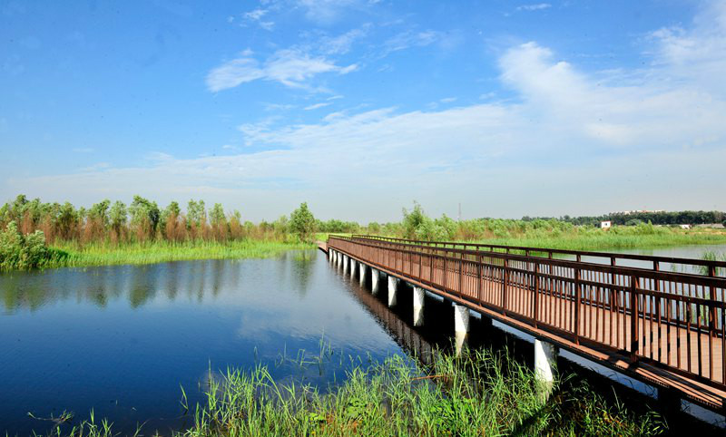 郑州黄河湿地公园正式晋升"国家湿地公园"
