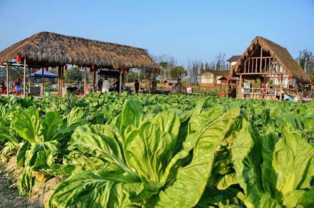 青神县汉阳镇汉阳场社区上榜首批四川传统村落名录