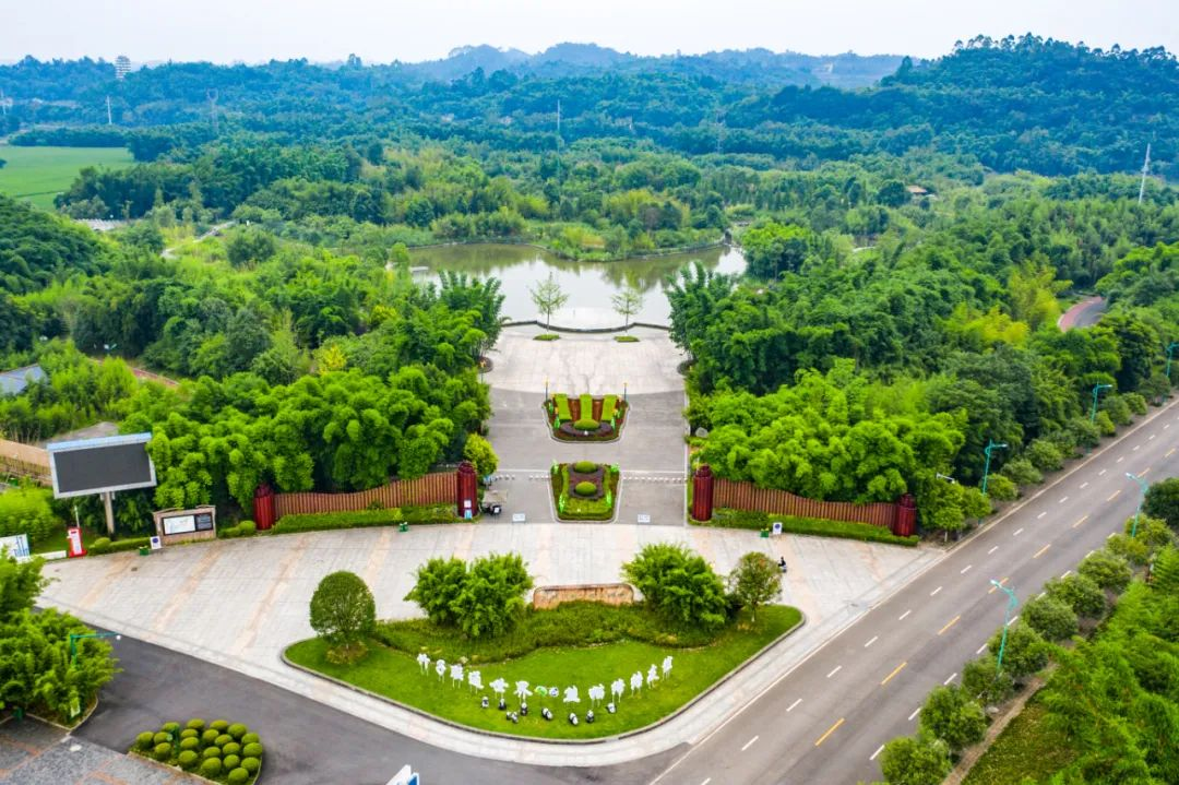 端午来青神这么玩想花钱都难创建省级全域旅游示范区