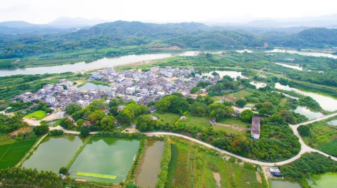 潮州国家森林乡村系列介绍饶平县浮山镇麻湖村