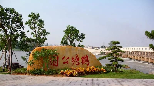 潮州:官塘镇鹤塘生态公园实现"华丽变身",为湘桥创森增绿添景