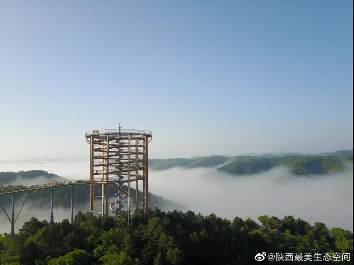 寻找陕西最美生态空间黄龙山国家森林公园